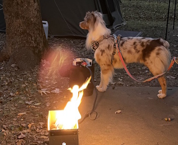 Where the Wild Things Are